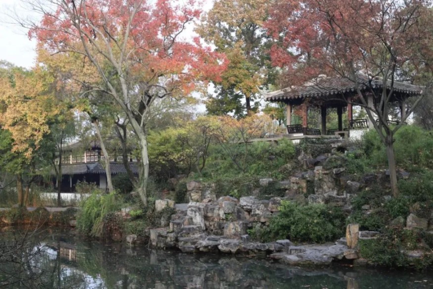 Humble Administrator's Garden