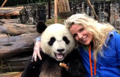 Chengdu, Sichuan, Panda