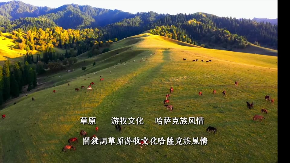 The real Xinjiang