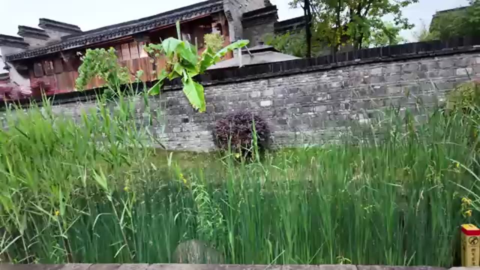 Rainy Day in Hangzhou