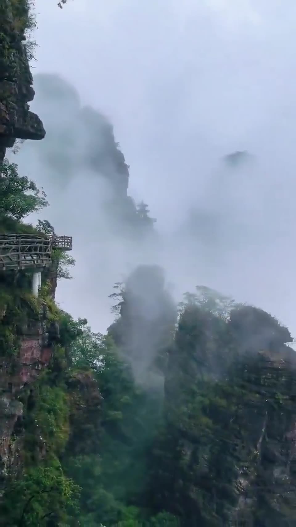 ZhangJiaJie