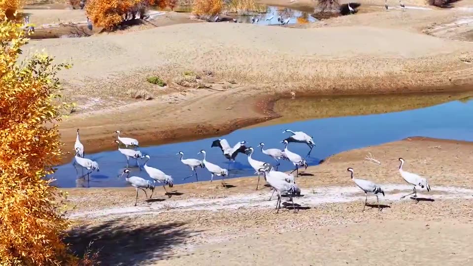 Desert, lake,