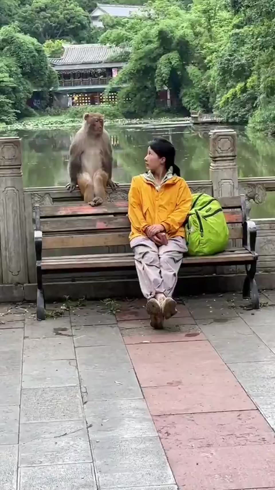 We are friends
