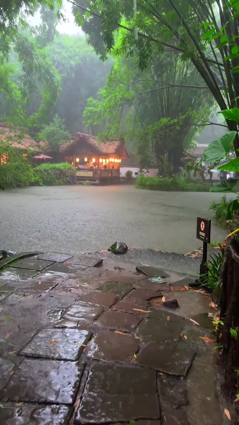 Rainy days in Chengdu
