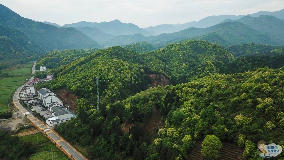 文章配图-3
